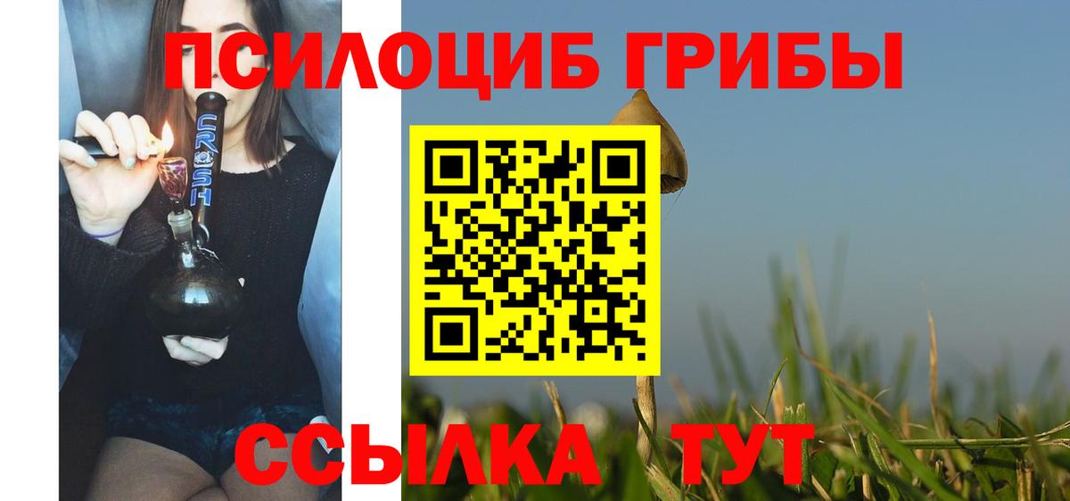 Псилоцибиновые грибы мухоморы  Вход с VPN  Железногорск 